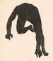 Studie anatomisch van de spieren van de nek, armen en benen van een man in silhouet - Reijer Stolk — weergave van het kunstwerk