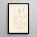 Centurie zoologique Pl55 - René Primevère Lesson — framed artwork on a wall