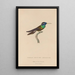 Histoire naturelle des oiseaux-mouches Pl09 - René Primevère Lesson — ingelijst kunstwerk aan de muur