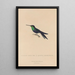 Histoire naturelle des oiseaux-mouches Pl18 - René Primevère Lesson — ingelijst kunstwerk aan de muur