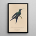 Histoire naturelle des oiseaux-mouches Pl25 - René Primevère Lesson — ingelijst kunstwerk aan de muur