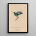 Histoire naturelle des oiseaux-mouches Pl50 - René Primevère Lesson — ingelijst kunstwerk aan de muur