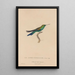 Histoire naturelle des oiseaux-mouches Pl51 - René Primevère Lesson — ingelijst kunstwerk aan de muur