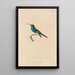 Histoire naturelle des oiseaux-mouches Pl69 - René Primevère Lesson — ingelijst kunstwerk aan de muur