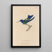 Histoire naturelle des oiseaux-mouches Pl74 - René Primevère Lesson — ingelijst kunstwerk aan de muur