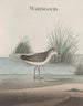 Natuurhistorie van Saint-Domingue Pl051 - René de Rabi — weergave van het kunstwerk