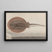 Histoire naturelle de Saint-Domingue Pl080 - René de Rabi — ingelijst kunstwerk aan de muur