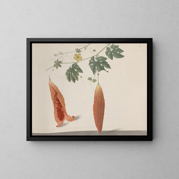 Natuurhistorie van Saint-Domingue Pl185 - René de Rabi — ingelijst kunstwerk aan de muur