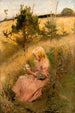 Girl Picking Flowers - Richard Bergh — artwork view