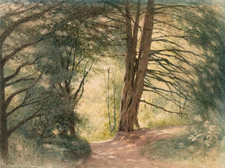 Boxhill, Surrey - Richard Doyle — weergave van het kunstwerk