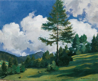 Motief in Toblach - Richard Harlfinger — weergave van het kunstwerk