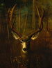 hert in rust bij Colorado Springs - Richard La Barre Goodwin — weergave van het kunstwerk