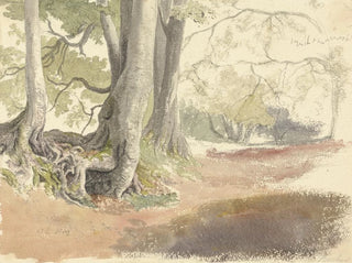Beukenbomen - Robert Hills — weergave van het kunstwerk