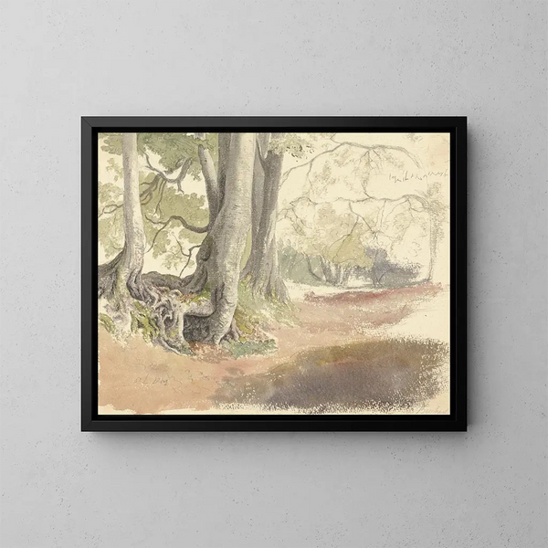 Beukenbomen - Robert Hills — ingelijst kunstwerk aan de muur