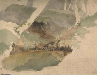 Robert Hills - Forest Pool.webp