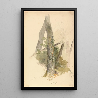 Robert Hills - Tree Study with Ivy Clinging to Stump.webp