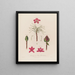 Anatomie du rhododendron pontique - Robert John Thornton — ingelijst kunstwerk aan de muur
