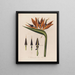 Anatomie van de koningin der bloemen - Robert John Thornton — ingelijst kunstwerk aan de muur