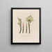 Calla Ethiopische of Calla Afrikaanse - Robert John Thornton — ingelijst kunstwerk aan de muur