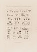Classes du système sexuel du Jardin botanique du Dr Darwin - Robert John Thornton — artwork view