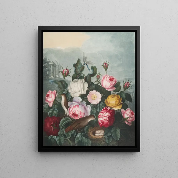 Robert John Thornton - Roses.webp