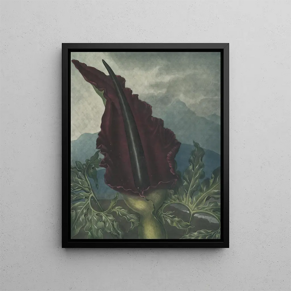 L'Arum draak - Robert John Thornton — ingelijst kunstwerk aan de muur