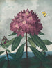 Le Rhododendron ponticum - Robert John Thornton — weergave van het kunstwerk