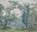 Saules anciens - Robert Reid — weergave van het kunstwerk