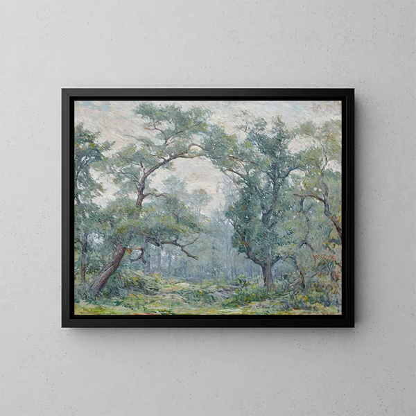 Saules anciens - Robert Reid — ingelijst kunstwerk aan de muur