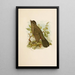Le monde des oiseaux nord-américains pl05 - Robert Ridgway — ingelijst kunstwerk aan de muur