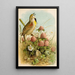 The world of North American birds pl29 - Robert Ridgway — framed artwork on a wall