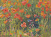 Klaprozen - Robert William Vonnoh — weergave van het kunstwerk