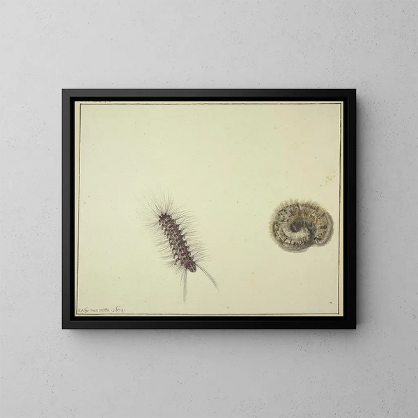 Twee vuurkevers - Rochus van Veen — ingelijst kunstwerk aan de muur