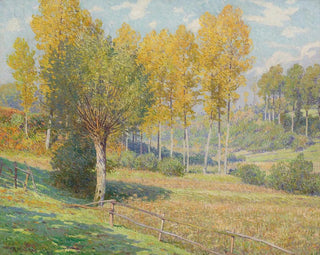 Rodolphe Wytsman - Paysage.webp