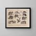 Atlas van de fauna van Brazilië Pl32 - Rodolpho von Ihering — ingelijst kunstwerk aan de muur