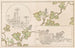 Shinsen moyo no shiori Pl18 - Rokkaku Shisui — weergave van het kunstwerk