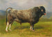 De Grijze Stier - Rosa Bonheur — weergave van het kunstwerk