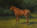 L'Herfst rood - Rosa Bonheur — weergave van het kunstwerk