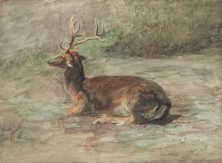 Rosa Bonheur - Stag Lying Down.webp