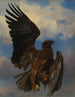 L'aigle blessé - Rosa Bonheur — weergave van het kunstwerk