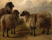 Drie wollige schapen - Rosa Bonheur — weergave van het kunstwerk