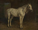 Paard wit - Rosa Bonheur — weergave van het kunstwerk