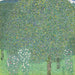 Rozenperken onder de bomen - Gustav Klimt — weergave van het kunstwerk