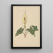 Boek van bloemen - Rudolf Koch — ingelijst kunstwerk aan de muur