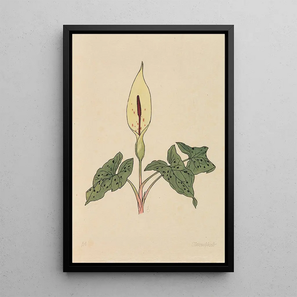 Rudolf Koch - Blumenbuch.webp