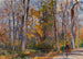 Hout van de herfst - Rudolf Schramm-Zittau — weergave van het kunstwerk