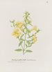 Large yellow gerbera painting - S Fred Prince — artwork view