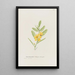 Scented Peony Painting - S Fred Prince — framed artwork on a wall