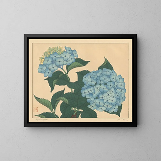 Sakai Hoitsu - Hydrangea.webp