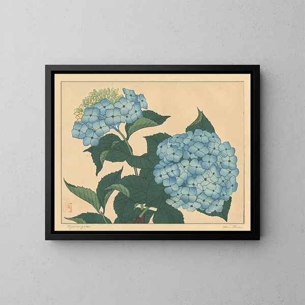 Hortensia - Sakai Hōitsu — ingelijst kunstwerk aan de muur